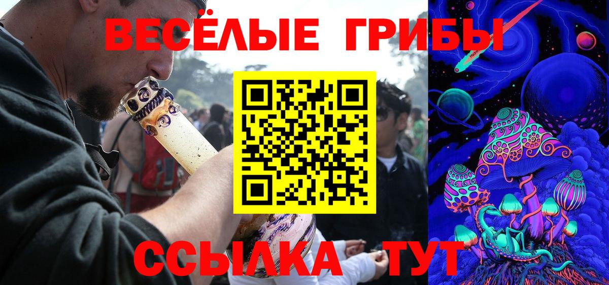 Псилоцибиновые грибы MAGIC MUSHROOMS  Псилоцибиновые грибы Psilocybe  Вход с VPN  Горно-Алтайск 