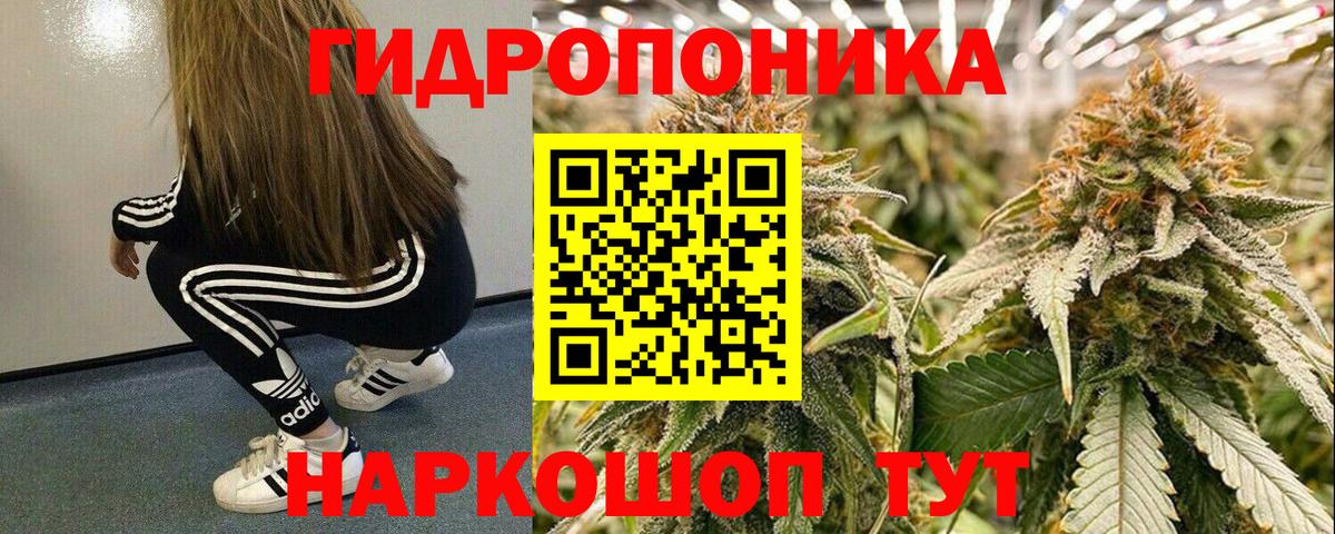 МАРИХУАНА Amnesia Горно-Алтайск